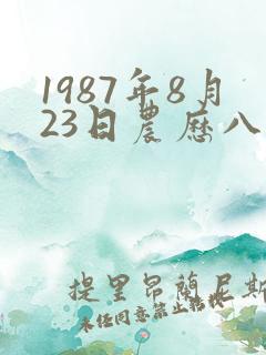 1987年8月23日农历八字