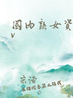 国内熟女资源av