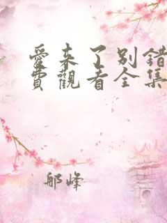 爱来了别错过免费观看全集