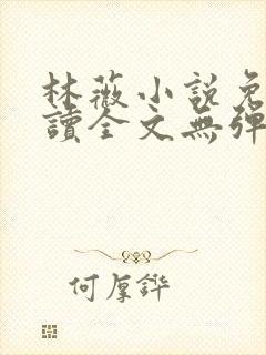 林薇小说免费阅读全文无弹窗