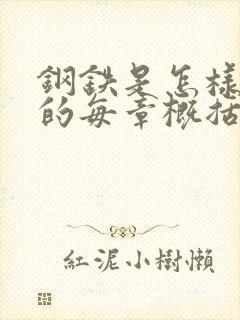 钢铁是怎样炼成的每章概括100字左右