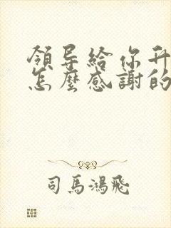 领导给你升职你怎么感谢的话