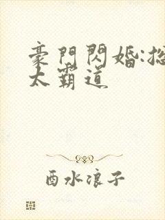 豪门闪婚:总裁太霸道