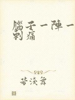 脑子一阵一阵的刺痛