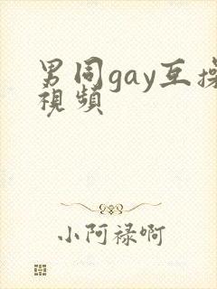 男同gay互操视频