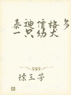 泰迪价格多少钱一只幼犬