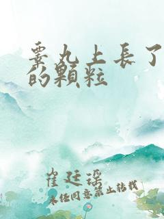 睾丸上长了白色的颗粒