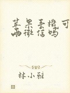 苹果手机可以用两微信吗