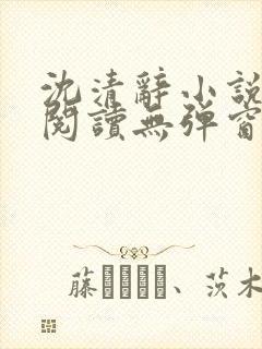 沈清辞小说免费阅读无弹窗