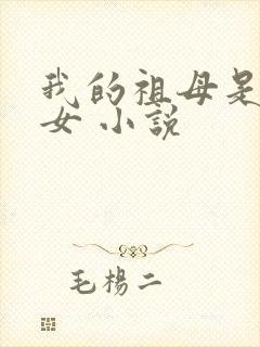 我的祖母是穿越女 小说