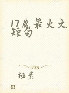 17岁最火文案短句