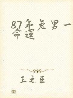 87年兔男一生命运