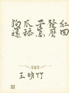 狗爪子发红,狗还舔怎么回事