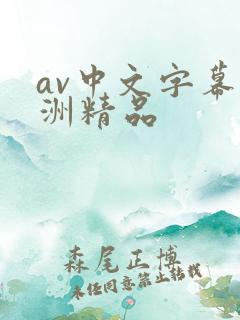av中文字幕亚洲精品