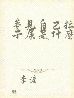 梦见自己拉裤兜子屎是什么意思