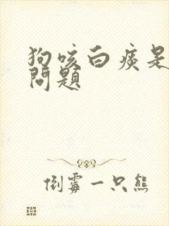 狗咳白痰是什么问题