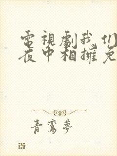 电视剧我们在黑夜中相拥免费观看