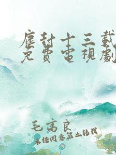 尘封十三载在线免费电视剧