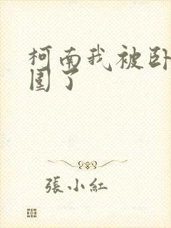 柯南我被卧底包围了