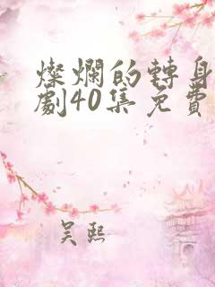 灿烂的转身电视剧40集免费观看全集