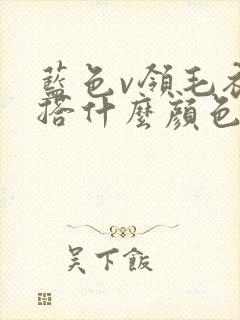 蓝色v领毛衣内搭什么颜色