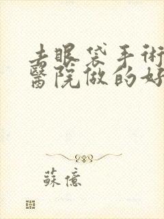 去眼袋手术哪家医院做的好