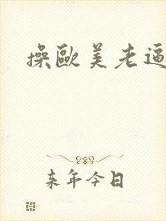 操欧美老逼视频