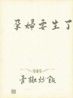 孕妇要生了小说