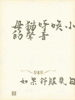 母猫呼唤小猫咪的声音