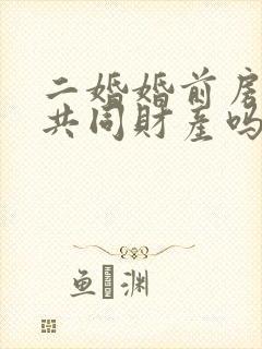 二婚婚前房子算共同财产吗