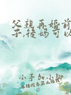 父亲再婚前的房子,后妈可以继承吗