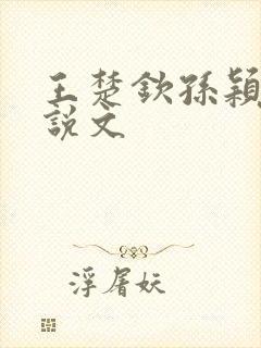 王楚钦孙颖莎小说文