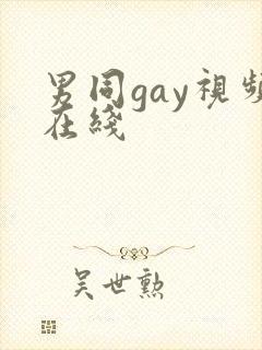 男同gay视频在线
