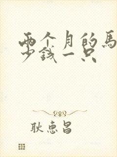 两个月的马犬多少钱一只