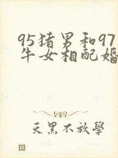 95猪男和97牛女相配婚姻如何