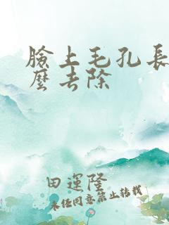 脸上毛孔长毛怎么去除