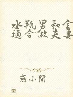 水瓶男和金牛女适合做夫妻吗