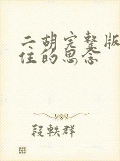 二胡完整版挡不住的思念