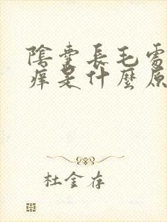 阴囊长毛处特别痒是什么原因