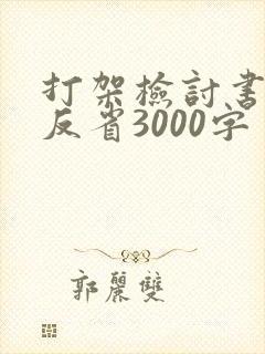 打架检讨书自我反省3000字