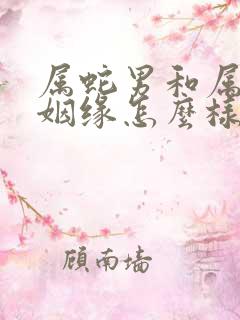 属蛇男和属马女姻缘怎么样