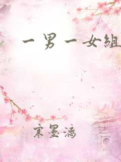 一男一女组合