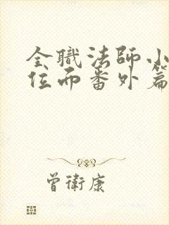 全职法师小说暗位面番外篇