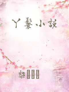 丫鬟小说