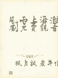 风雨上海滩电视剧免费观看