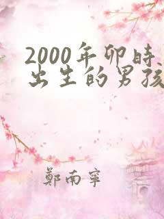 2000年卯时出生的男孩命运