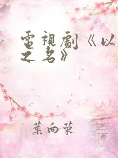 电视剧《以家人之名》