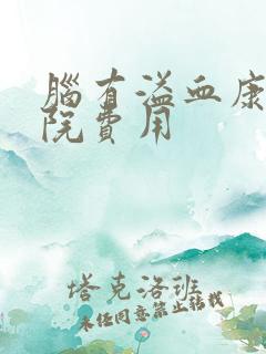 脑有溢血康复医院费用