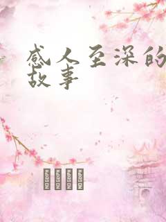 感人至深的情感故事