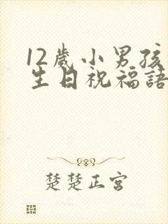 12岁小男孩过生日祝福语